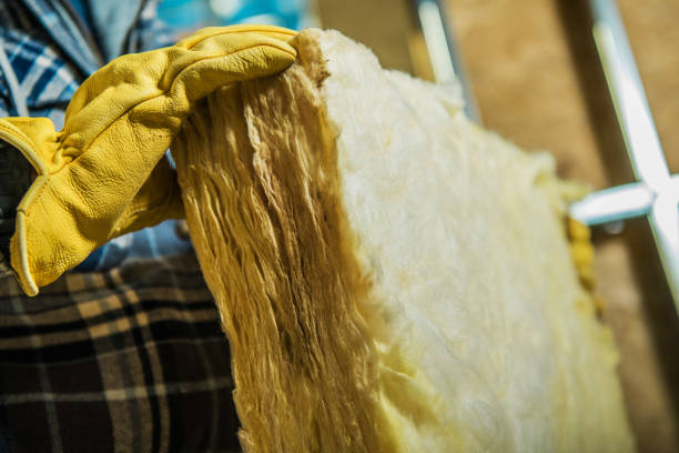 Best Cellulose Insulation in San Pablo, NM