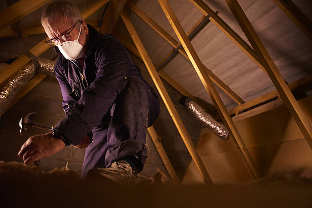 Best Eco-Friendly Insulation in San Pablo, NM